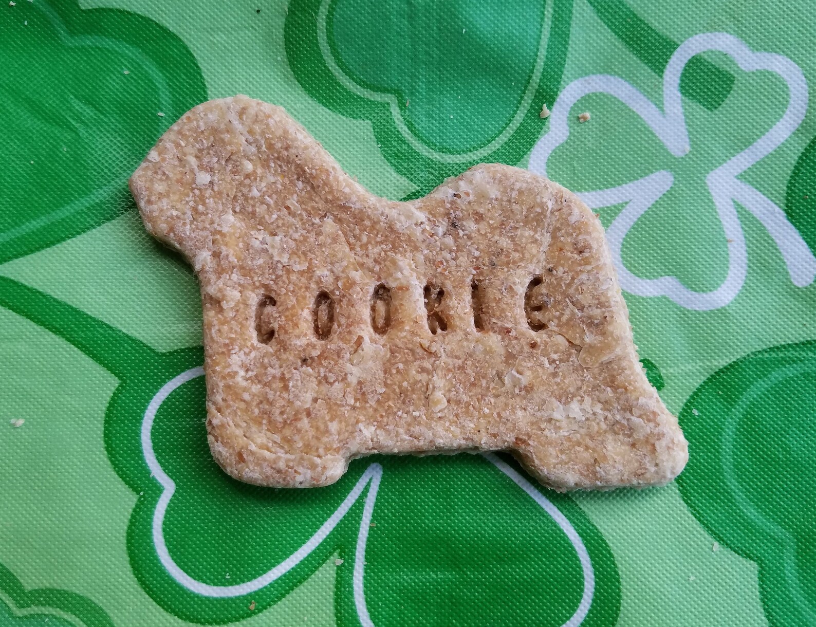 Maltese Personalized Dog Treats FREE SHIPPING Etsy