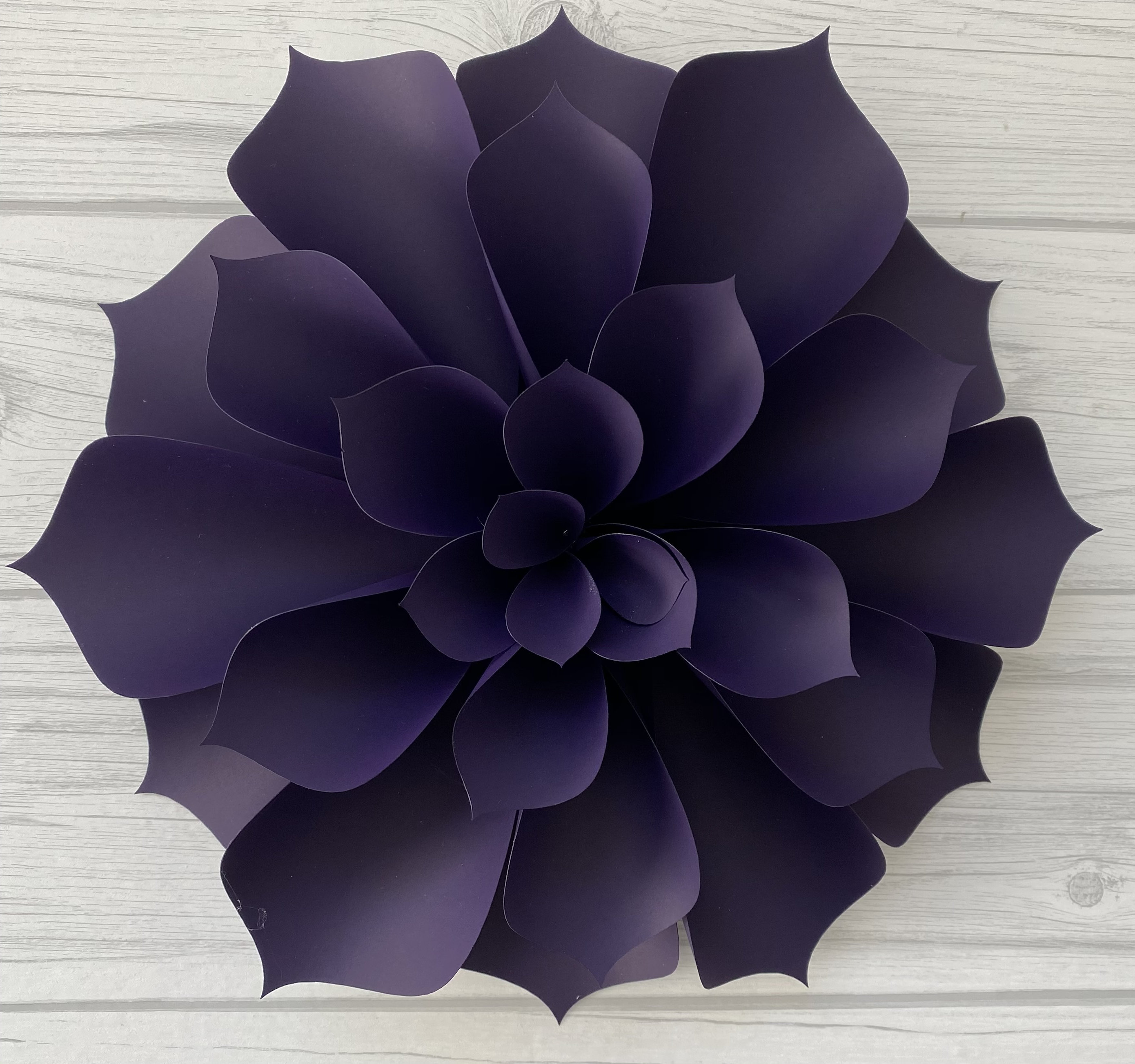 DIY Kit Paper Flower Medium Display 8 Paper Flowers Etsy
