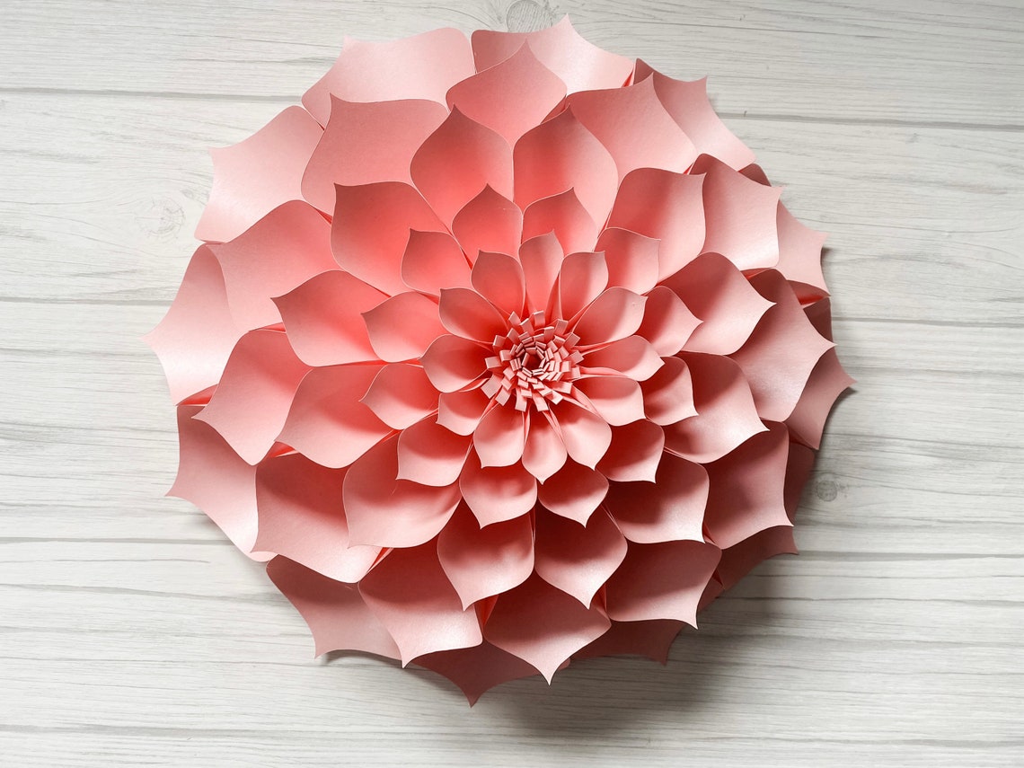 DIY Kit Paper Flower Medium Display 8 Paper Flowers Etsy