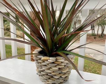 6” Outdoor or Indoor Planter - Unique Stone Decor