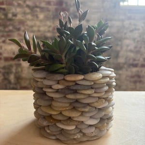 May include: A cylindrical planter, meticulously crafted from small, flat, rounded stones in shades of gray, tan, and cream, encases a vibrant green succulent plant. The plant's leaves are a deep green with reddish edges. The planter sits on a light wooden surface.
