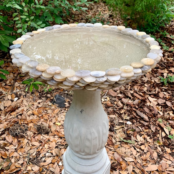 Bird Bath Basin (pedestal not included)