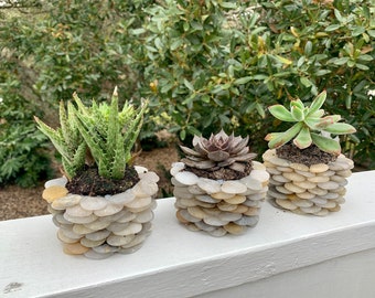 Set of 3 Small Outdoor or Indoor Planters - Unique Stone Decor