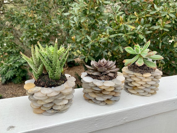 Set of 3 Small Outdoor or Indoor Planters - Unique Stone Decor - Etsy