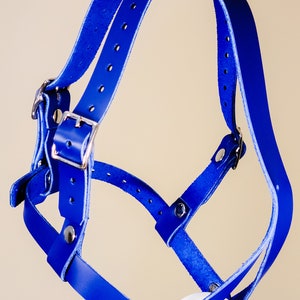 Leather Harness Gag. Genuine leather and silicone ball. 2 chin strap styles available. imagem 8
