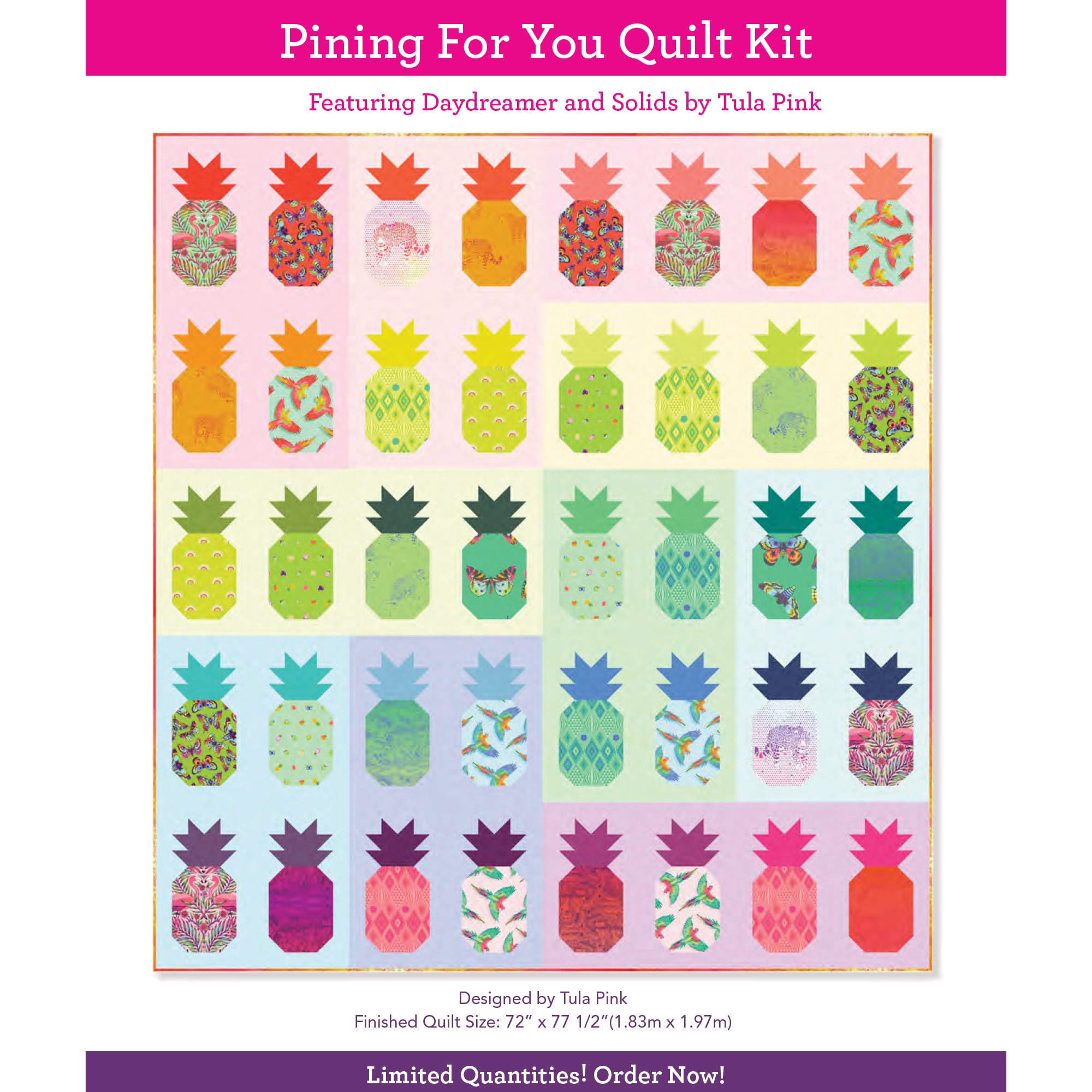 Pining for You Quilt Kit Tula Pink Daydreamer Etsy