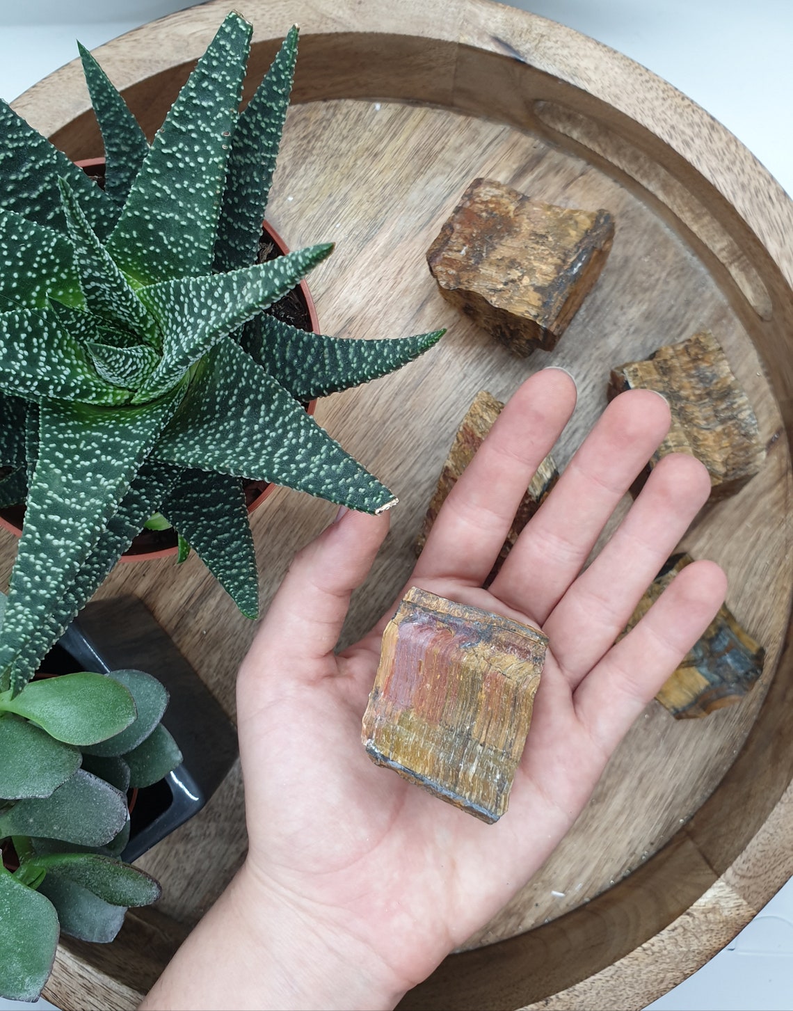 Money Attracting Crystal Gift Set/ Raw Crystal/ 5 Crystal Set Etsy