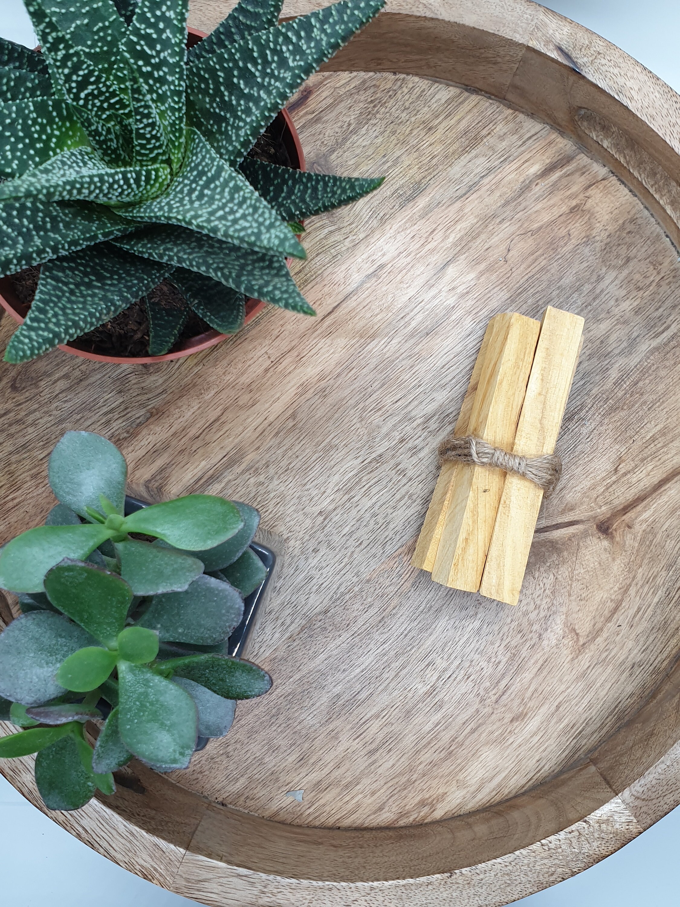 PALO SANTO Sacred Wood/ Incense Wood/ Holy Wood Stick 310 Etsy