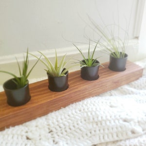 Candle Holder/ Planter