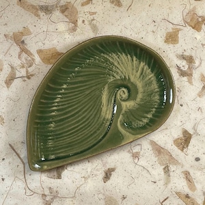 May include: A handcrafted, ceramic dish in the shape of a nautilus shell. The dish is glazed in shades of green and cream, with a spiral design in the center. The dish is on a textured, off-white surface with dried leaves.