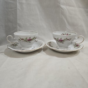 Vintage Johann Haviland Moss Bavarian Rose Footed Tea Cups and Saucers Set of 2