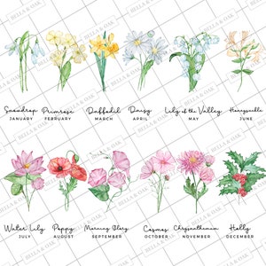 Puede incluir: Una ilustraci&oacute;n de acuarela de flores que representan cada mes del a&ntilde;o. Las flores est&aacute;n dispuestas en una cuadr&iacute;cula con el nombre del mes y la flor debajo de cada imagen. Las flores incluyen campanilla de invierno, pr&iacute;mula, narciso, margarita, lirio de los valles, madreselva, nen&uacute;far, amapola, gloria de la ma&ntilde;ana, cosmos, crisantemo y acebo.