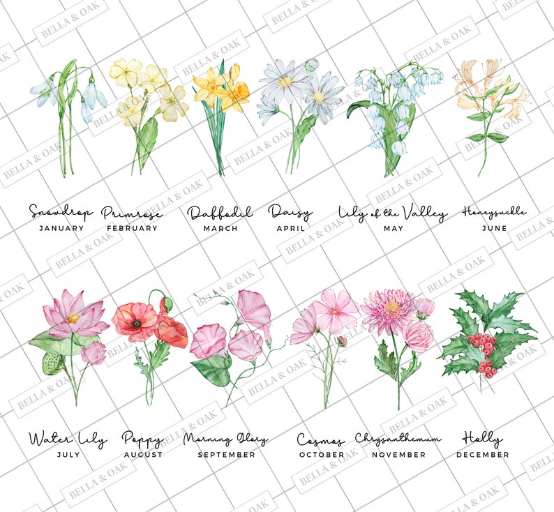 Puede incluir: Una ilustraci&oacute;n de acuarela de flores que representan cada mes del a&ntilde;o. Las flores est&aacute;n dispuestas en una cuadr&iacute;cula con el nombre del mes y la flor debajo de cada imagen. Las flores incluyen campanilla de invierno, pr&iacute;mula, narciso, margarita, lirio de los valles, madreselva, nen&uacute;far, amapola, gloria de la ma&ntilde;ana, cosmos, crisantemo y acebo.