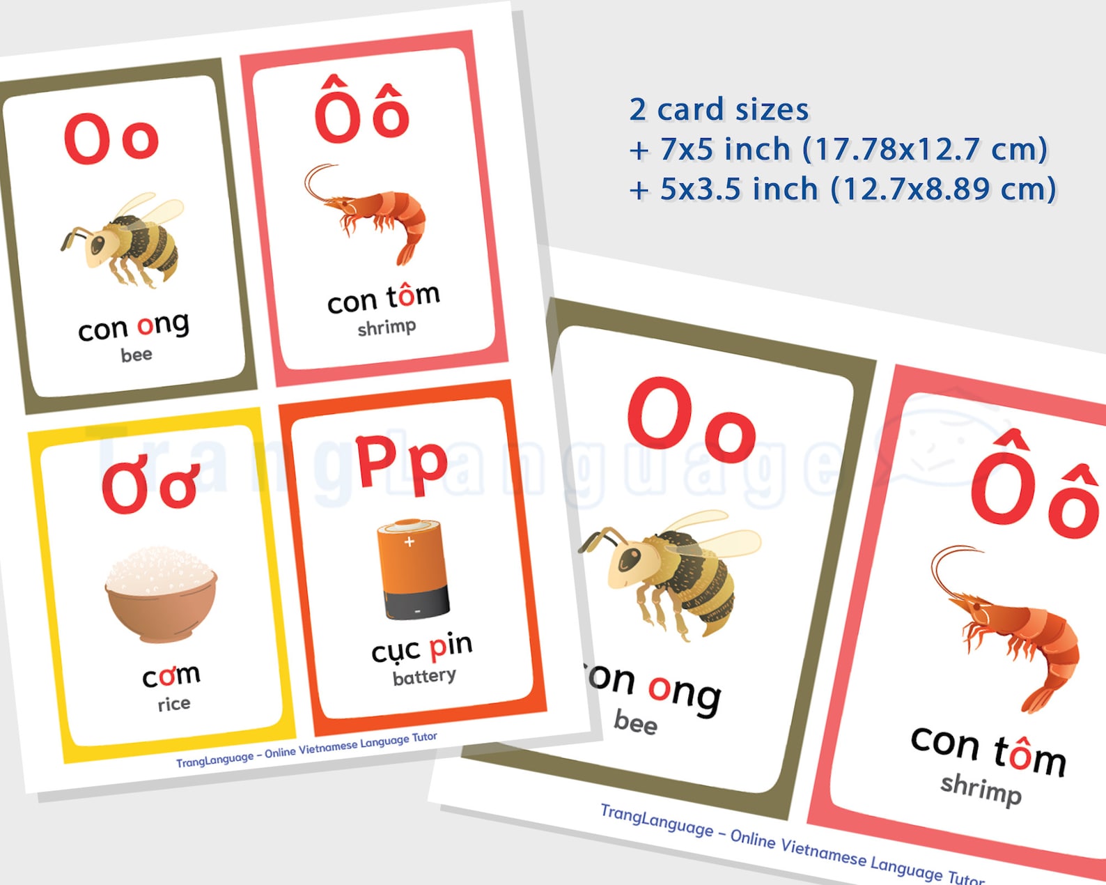printable-vietnamese-alphabet-flashcards-instant-download-etsy