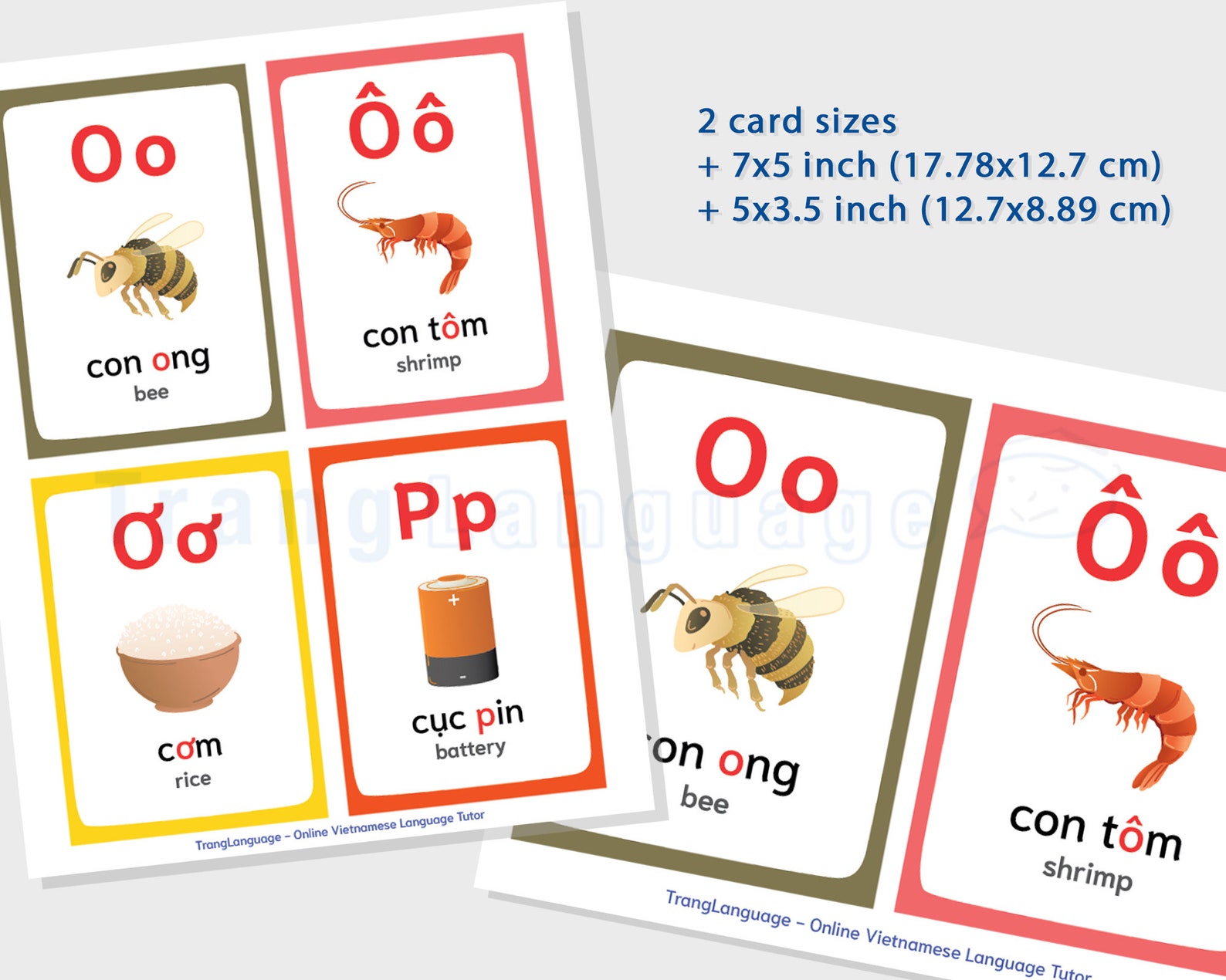 printable-vietnamese-alphabet-flashcards-instant-download-etsy