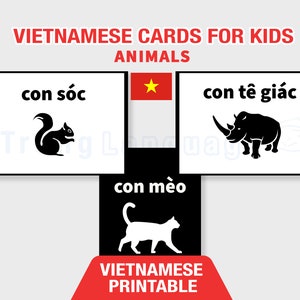 printable vietnamese alphabet flashcards instant download etsy