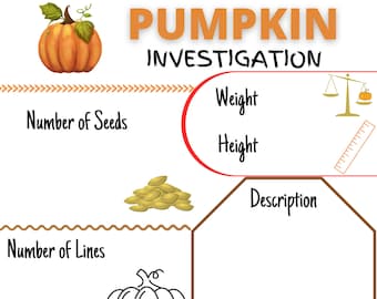 Pumpkin Investigation Worksheet