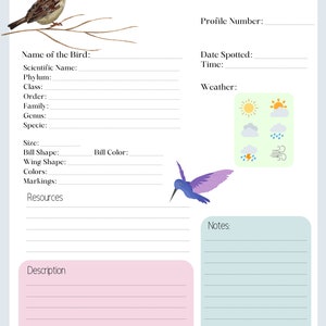 Bird Watching Journal & Log 4 Page Bird Watching Kit Bird Journal Bird Profile Bird Illustration Page Printable Bird Journal image 3