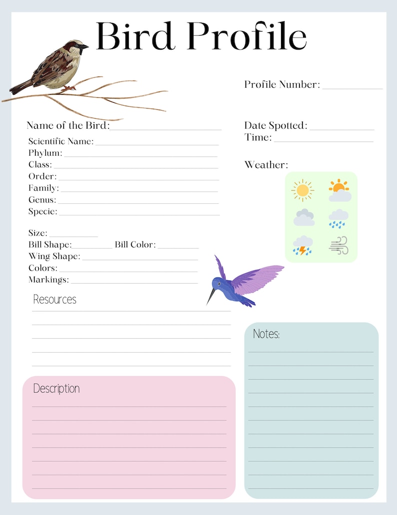 Bird Watching Journal & Log 4 Page Bird Watching Kit Bird Journal Bird Profile Bird Illustration Page Printable Bird Journal image 3