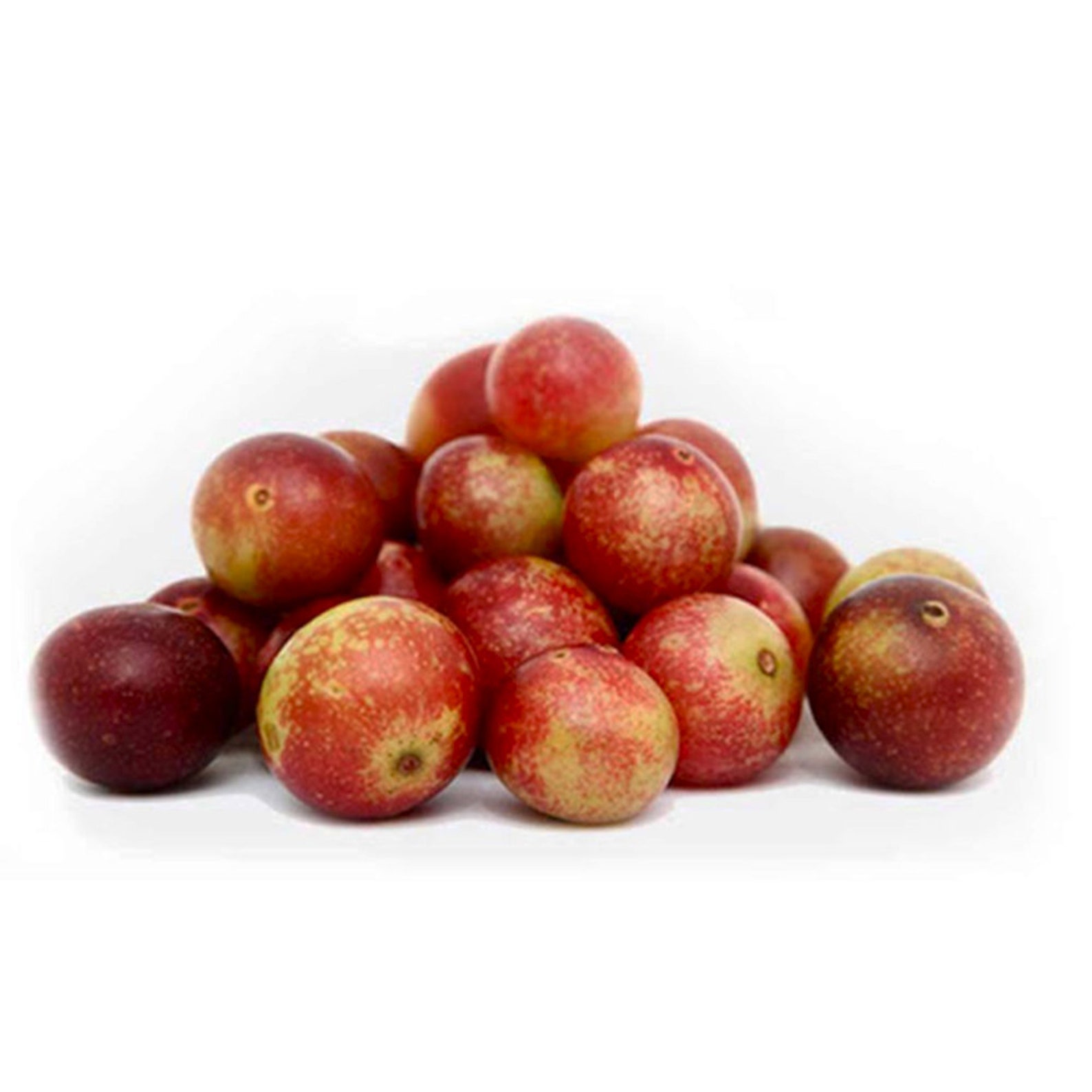 camu camu herb