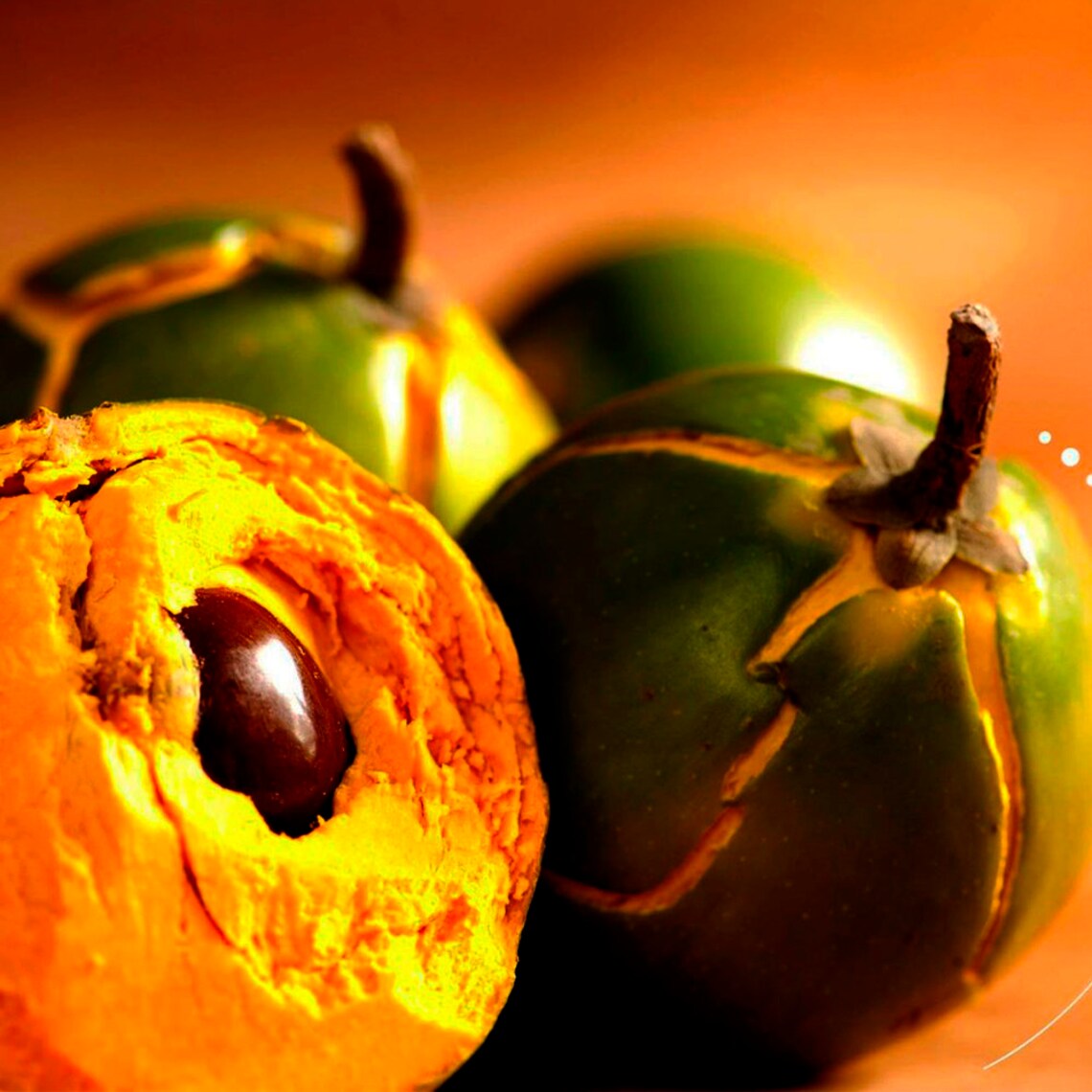 LUCUMA FOR SALE pouteria Lucuma Powder 100 Natural Etsy