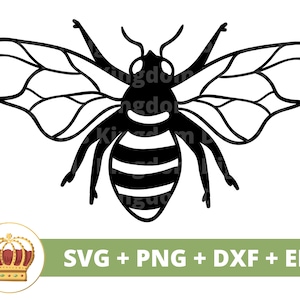 Bijen SVG-PNG | Cute Queen Bumble Bee Insect Bug Bloemen Bloementuin Honey Hive Baby Summer Wild tshirt mok beker beker teken Cricut Cut-bestand