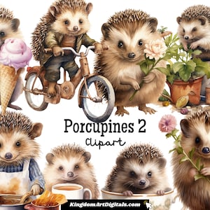 Porcupines 2 Clipart Set PNG | Spiky Animals Nature Creatures Prickly Pets Forest Animals illustrations Digital Download Invitation Clip Art