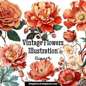Kwiaty - Vintage Illustration Clipart Set PNG | Garden Rose Floral Plants Wedding Invitations Stickers Digital Download Invitation Clip Art