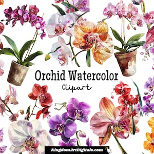 Conjunto de imágenes prediseñadas de orquídeas en acuarela / Elegante y delicada flor floral, paquete de imágenes prediseñadas digitales PNG de flores de Pascua para regalo de aniversario de cumpleaños de boda