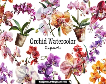 Watercolor Orchid Clipart Set | Elegant Delicate Flower Floral, Wedding Birthday Anniversary Gift Easter Flowers Digital PNG Bundle Clip Art