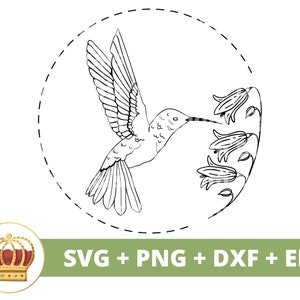 Beija-flor SVG PNG | Cute Humming Bird Nature Forest Clipart Vector Art Voando Floral Primavera camiseta caneca copo copo sinal Cricut Cut File
