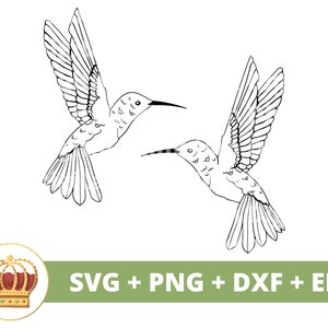 Beija-flor SVG PNG | Cute Humming Bird Nature Forest Clipart Vector Art Voando Floral Primavera camiseta caneca copo copo sinal Cricut Cut File