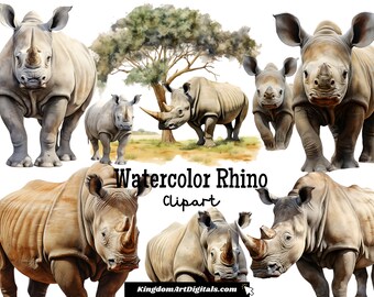 Rhino Clipart Set PNG | Safari Primal Animal Horned Creature African Jungle Wildlife Rhinoceros Drawing Digital Download Invitation Clip Art