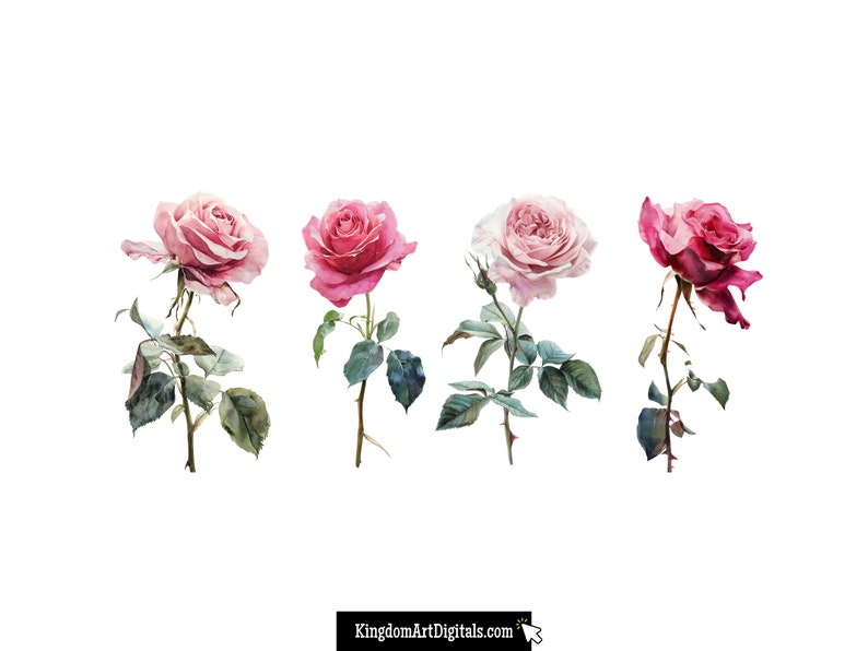 Pink Roses Clipart Set | Watercolor Flower Clip Art, Floral Png, Love ...