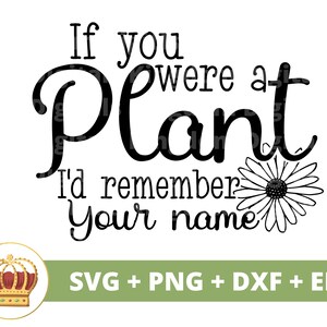 Wenn du eine Pflanze warst, dann erinnere dich an dein Gesicht SVG | Sassy Gartenarbeit Gartenpflanze Mama Liebhaber Dame Gärtner Pflanzer PNG Becher Shirt Cricut Cut Datei