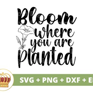 Blüte, wo du gepflanzt bist SVG | Gartenarbeit svg Gartenpflanze Mama Liebhaber Dame Gärtnerin Pflanzen Topf Blume Frühling PNG Becher Shirt Cricut Cut Datei