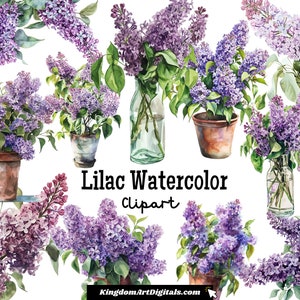 Conjunto de imágenes prediseñadas de acuarela lila / Floración floral morada, jardín de primavera, boda, aniversarios de cumpleaños, flores de Pascua, paquete de imágenes prediseñadas PNG digitales