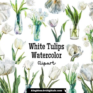 Conjunto de imágenes prediseñadas de tulipanes blancos en acuarela, delicados, puros y frescos, para bodas, cumpleaños, aniversarios, decoraciones, descarga digital, imágenes prediseñadas para invitaciones