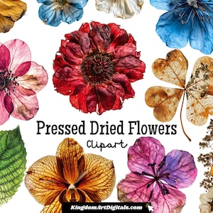 Conjunto de clipart de flores secas prensadas PNG | Junk Journal Vintage Ephemera Florals Handcrafted Invitation Sticker Digital Download Clip Art