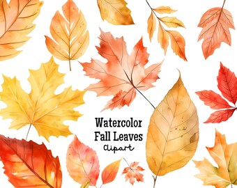 Fall Leaves Watercolor Clipart Set PNG |  Autumn Thanksgiving Halloween Maple Tree Leaf Clip Art Festive Cute Illustration Digital Download