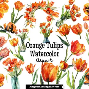 Conjunto de imágenes prediseñadas de tulipanes de color naranja en acuarela, flores frescas y brillantes, invitación para boda, cumpleaños, aniversario, Pascua, descarga digital