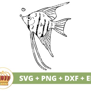 Angel Fish SVG PNG | Cute Little Koi Ocean Sea Creature Cartoon Baby Fishing Animal Kingdom Wild tshirt mug cup tumbler sign Cricut Cut File