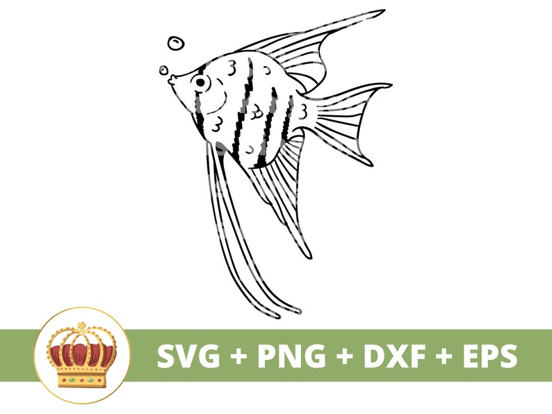 Angel Fish SVG PNG | Cute Little Koi Ocean Sea Creature Cartoon Baby ...