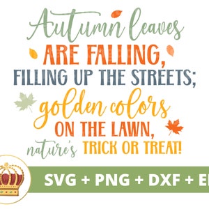 Herfstbladeren vullen de straten SVG | Herfst SVG oogst grappig herfst teken Happy Thanksgiving Pumpkin Spice PNG shirt mok gesneden bestand