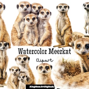Watercolor Meerkat Clipart Set PNG | Painted Savannah Deserts African Safari Nature Animals Invitations Digital Download Invitation Clip Art