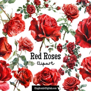 Rode rozen clipartset | Illustraties bloem, bloemen png, liefde PNG bundel, romantiek illustraties I Love You Rose Valentijnsdag tuin botanische plant