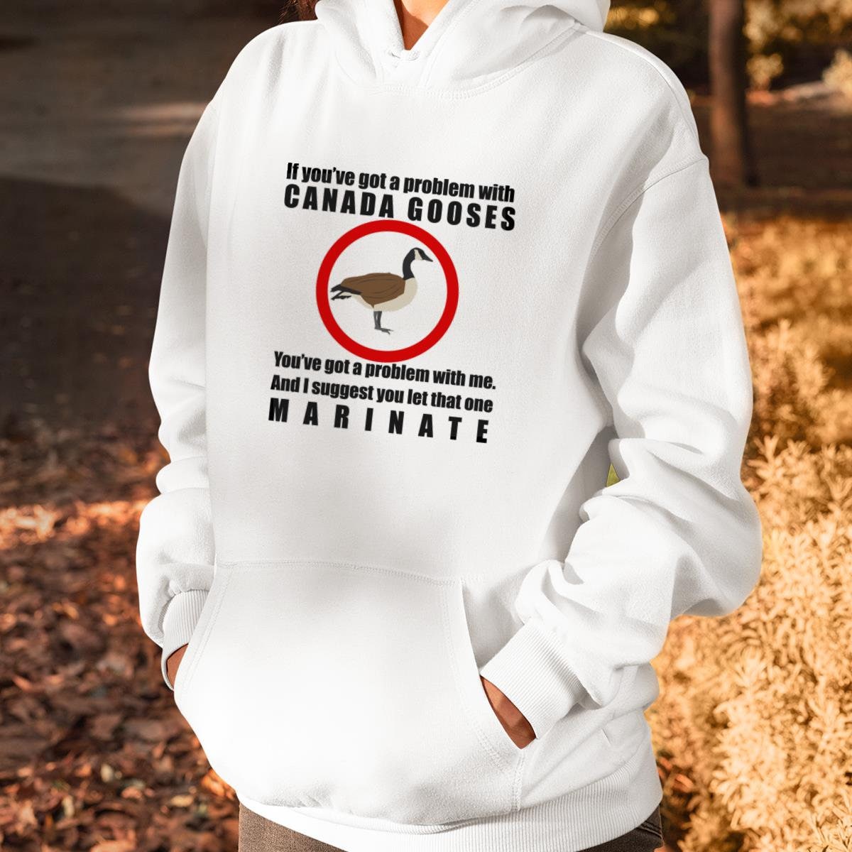 Canada Gooses. Letterkenny Classic T-Shirt Graphic Tee Classic | Etsy