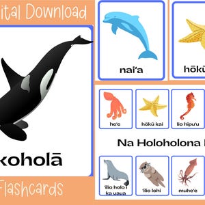 ʻŌlelo Hawaiʻi Sea Creatures Flashcards | Hawaiian Language Printable | Homeschool & Classroom Resource | Digital Download for Kids