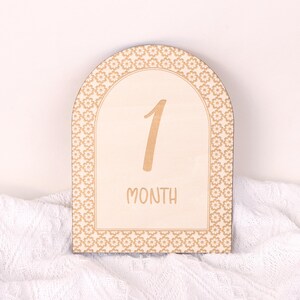 Baby Monthly Milestone Markers,Baby Monthly Milestone Cards,newborn milestone photo,shower gift,Baby Photo Prop,New Mom Gift,Newborn Gift