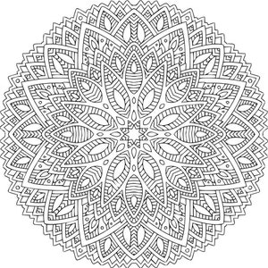 K&ouml;nnte beinhalten: Ein komplexes Mandala-Design in Schwarzwei&szlig; mit einem kreisf&ouml;rmigen Muster aus &uuml;berlappenden Bl&auml;ttern und geometrischen Formen.